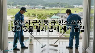 삼척시 근산동 급 청소 요청? 반려동물 털과 냄새 제거 꿀팁!