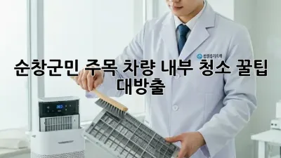 ✨ 순창군민 주목! 차량 내부 청소 꿀팁 대방출 🚗💨