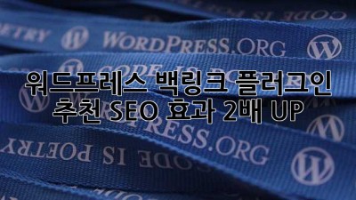 워드프레스 백링크 플러그인 추천! SEO 효과 2배 UP 🚀