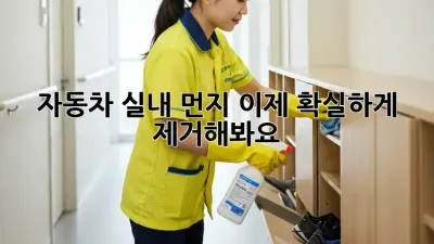 자동차 실내 먼지, 이제 확실하게 제거해봐요!